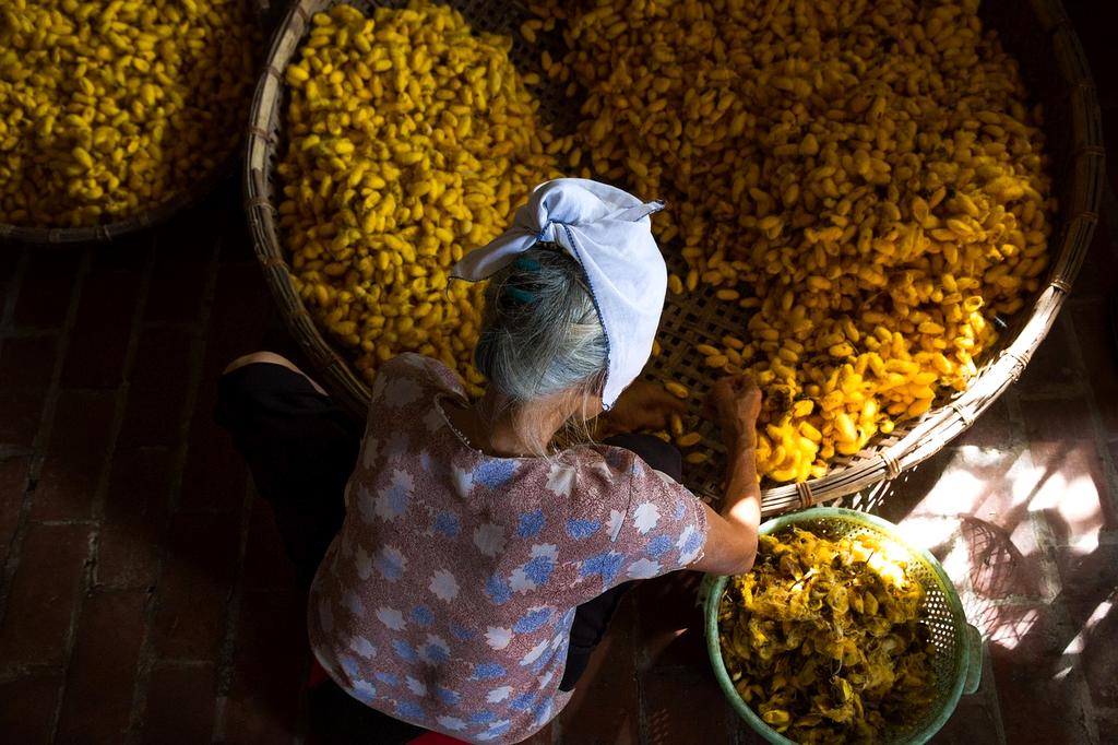 Wariant kolorystyczny 1 produktu